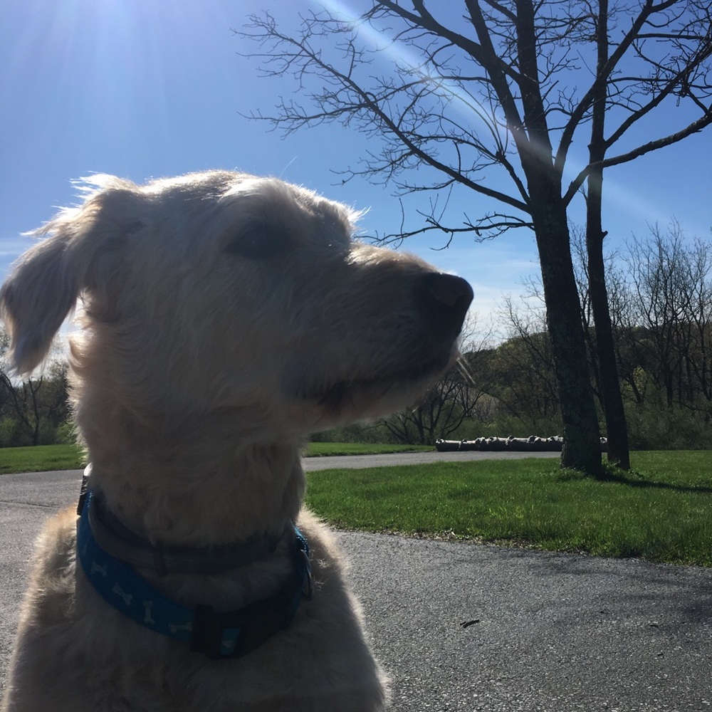 Meet your Posher, Kati